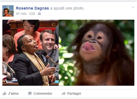 Racisme taubira Roseline Dagnas republicain
