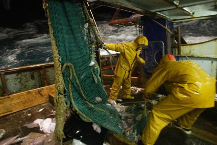 "LE CHALUTIER HAUTURIER +ERIC VINCENT+" ET LE PAPIER SUR LES MARINS-PECHEURS - Des marins du chalutier hauturier de Concarneau "Eric Vincent", remontent le chalut début décembre 2003 durant une campagne de pêche au large des côtes de sud-Irlande. AFP PHOTO MARCEL MOCHET