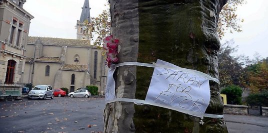 1238589_773_1238588-371-obj8167047-1-modifie_667x333