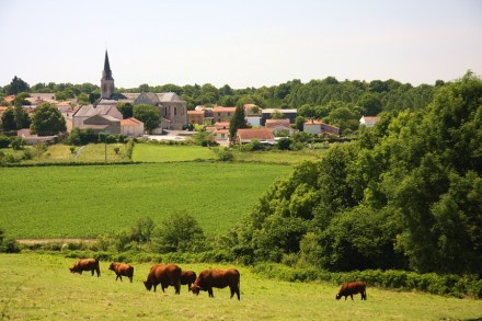 petit-village-vendee-IMG_9548