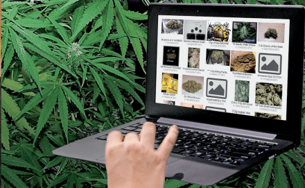 Capture d’écran 2015-12-07 à 15.10.51.png