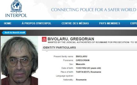 5580217_bivolaru_800x500