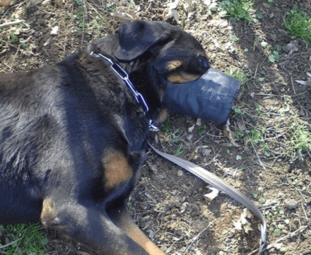 Capture d’écran 2016-02-18 à 18.02.55.png