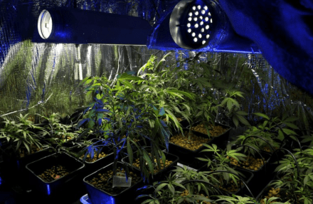 Capture d’écran 2016-02-22 à 16.20.18.png