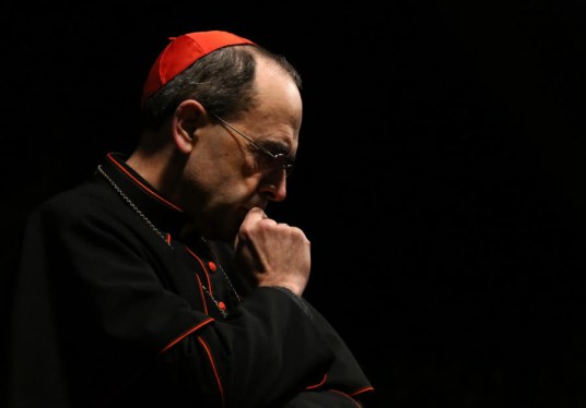 le-cardinal-barbarin-photo-afp-1458032341.jpg