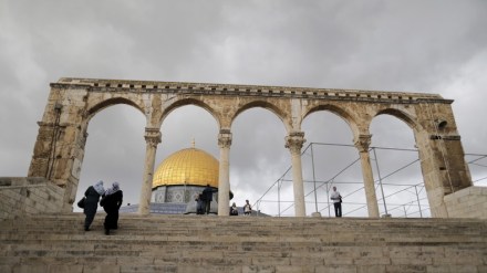 5714f327c4618888798b461e