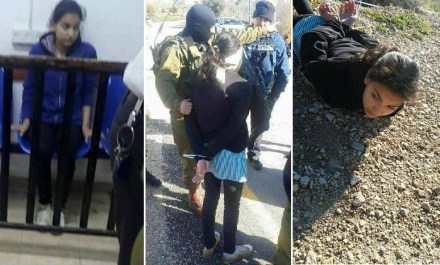 Dima al-Wawi palestinienne palestine israel tsahal prison droit de l'homme