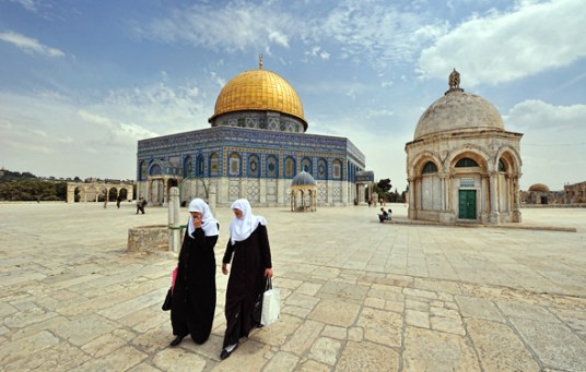 2010-04-27_0000039   Subscriber-false   Marketing-true   Newsletter-   RegYSNewsletter-  MicroTransactions-false