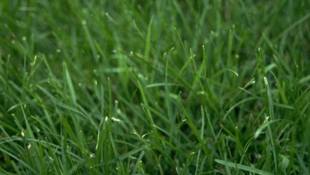 0ea81c7a-284a-4e89-acfb-61c8463c831d_16x9_WEB