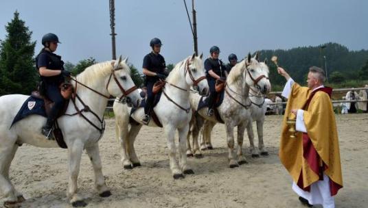 1429568099_B978863368Z.1_20160606110303_000_GNM6UN37N.3-0