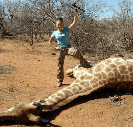 Capture d’écran 2016-08-21 à 23.43.37.png