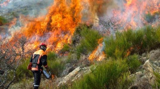 des-renforts-incendie-en-corse-du-sud_0.jpg