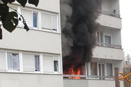 1651190709_b979924792z-1_20161010083312_000_gs27l5eqe-3-0