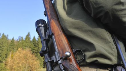 x870x489_maxstockfr047981-jpg-pagespeed-ic-i4rimv57of