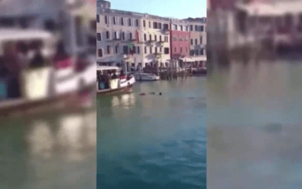 6626823_venise_1000x625