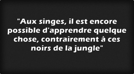 aux-singes-il-est-encore-possible-dapprendre-quelque-chose-contrairement-a-ces-noirs-de-la-jungle-racsime