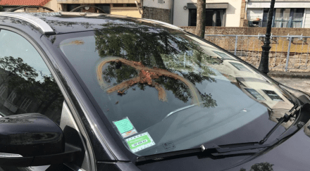 Capture d’écran 2017-05-02 à 15.00.46.png